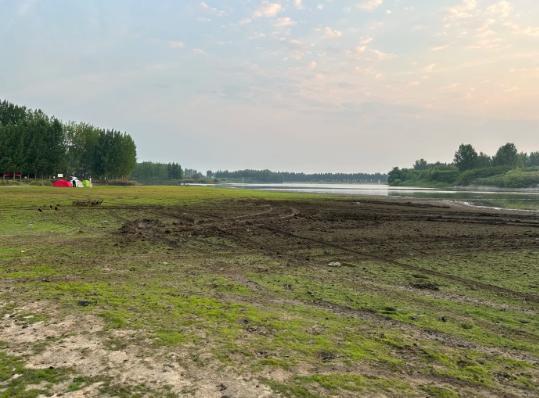 青岛阿勒泰网红草地遭越野车队碾轧 植被受损引关注