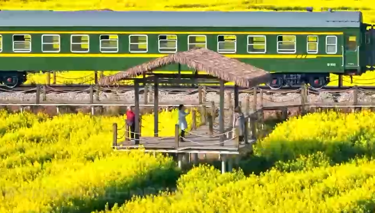 既有实力又有颜值 与油菜花共赴“春天”