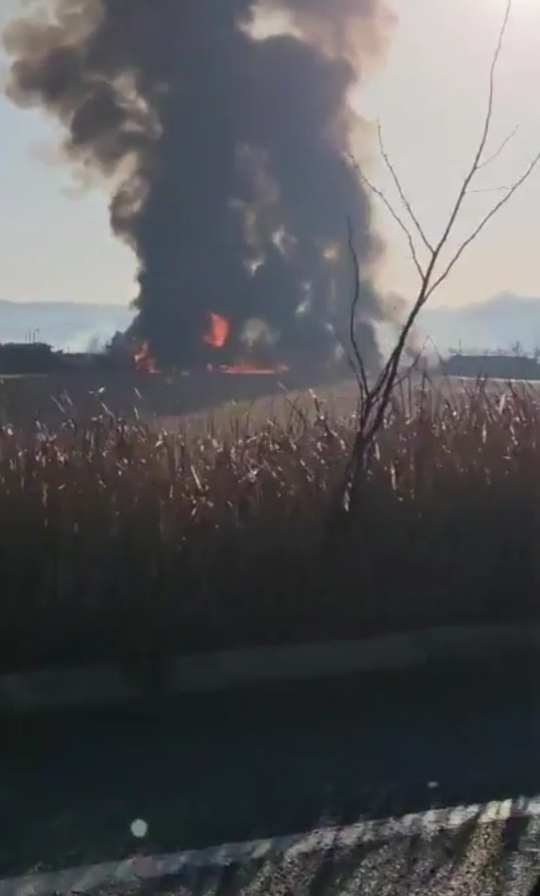 韩国客机撞墙起火事故已致28人死亡 客机疑似撞鸟