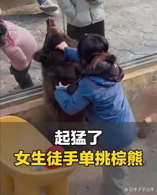 女饲养员徒手将熊按在玻璃上锁喉 网络热议安全问题