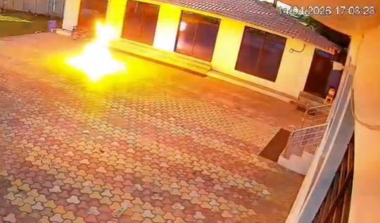 印度一男子驱赶猴子触电身亡 高压电线引发悲剧