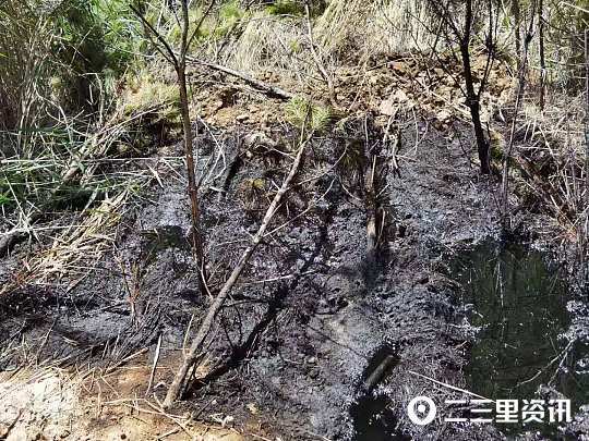 网友反映长庆采油八厂一井场多处污油泥未清理，沿途路上还漏不少油