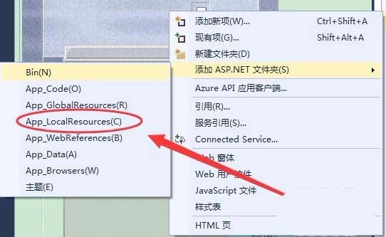 vs添加ASP.Net文件夹中各选项是什么意思