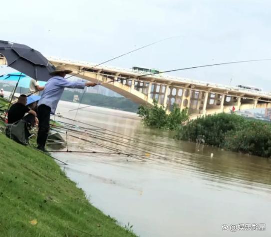 官方辟谣越南鸭子随洪水漂流至广西 暴雨成灾，南宁变“水乡”