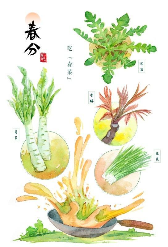 春分时节说“春菜”