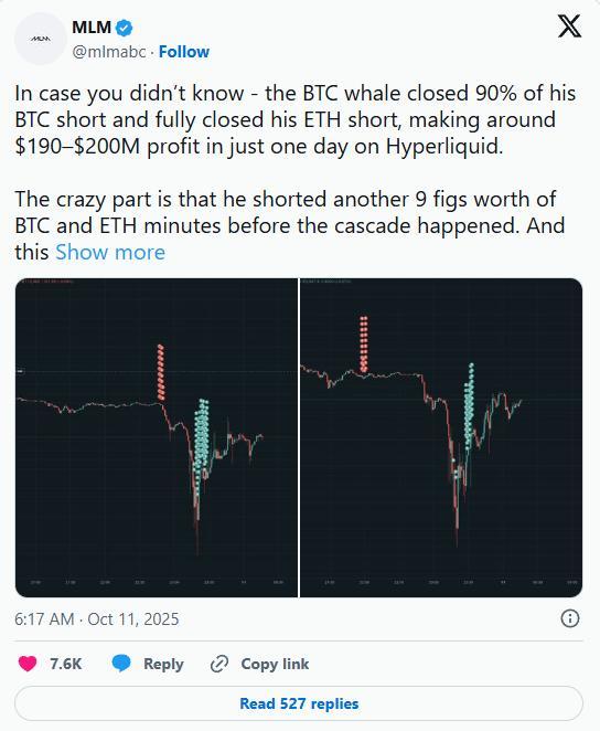 暴跌前夕币圈神秘“巨鲸”精准做空 市场惨遭血洗