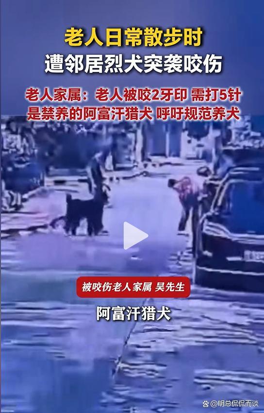 老人散步被邻居家烈犬咬伤 禁养犬惹祸引发关注