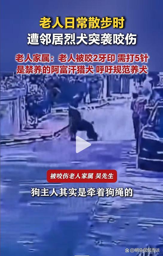 老人散步被邻居家烈犬咬伤 禁养犬惹祸引发关注