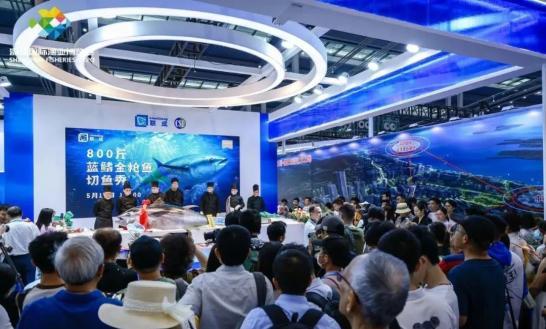 深圳漁博會現(xiàn)800斤金槍魚 深海美味引關注