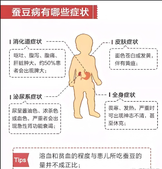 5岁男童“酱油色”尿为溶血信号：这种专挑男孩的病，重者须立即急救 小小蚕豆引发大危机