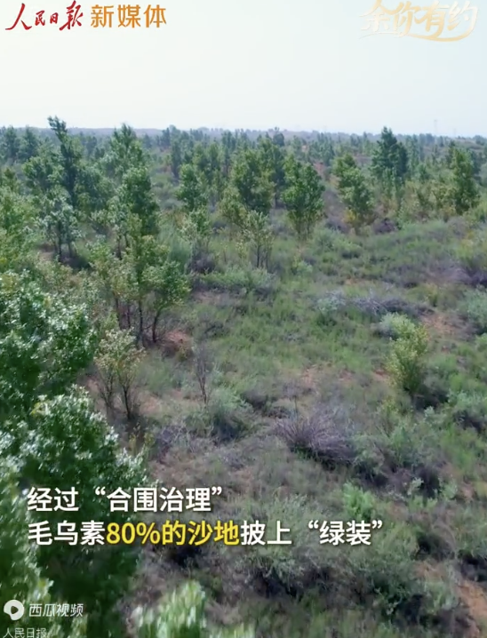 中国人让毛乌素荒沙变林海 绿色奇迹再现