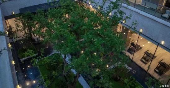 20251209102523731560.jpg 19.jpg