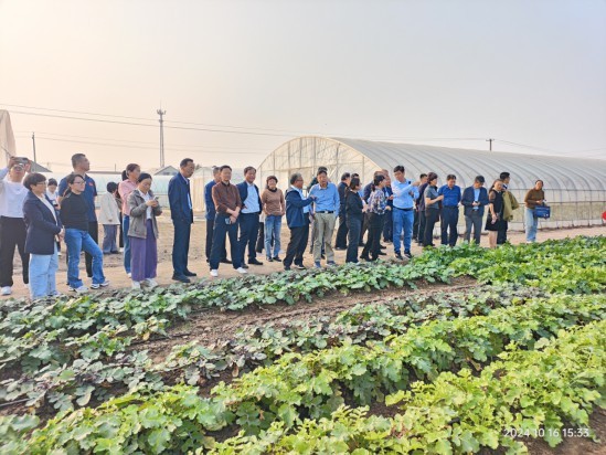 “山东省蔬菜产业技术体系年度考评暨交流观摩会”在潍坊市召开