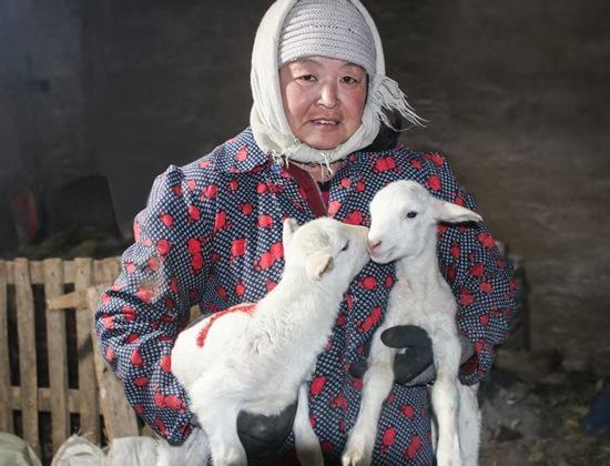 立冬寻羊记:中国最好吃的羊肉都在这张地图里