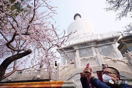 北京下周最高温可达17℃！天气渐热，6条戴口罩提示