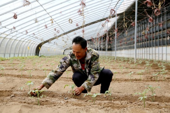 跟着总书记看中国｜“拔掉穷根把花栽，美得哟沙漠变花海”