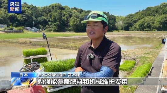 日本平抑米价为何难见成效 多因素推高成本
