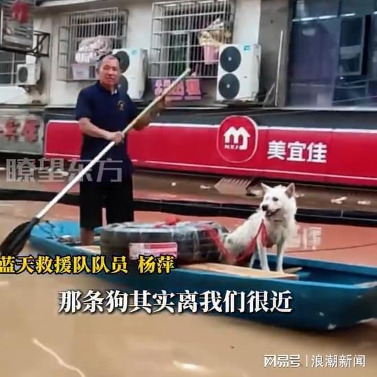 貴州洪水中現(xiàn)“忠犬八公”