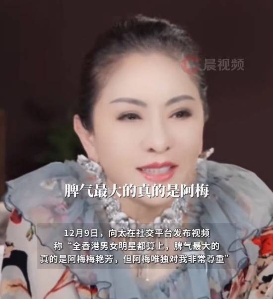向太说港星本性最大是梅艳芳