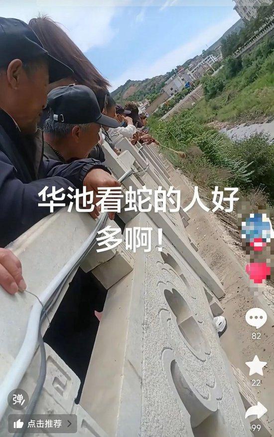 甘肃一河滩有蛇群出没 官方采取措施捕蛇并驱散