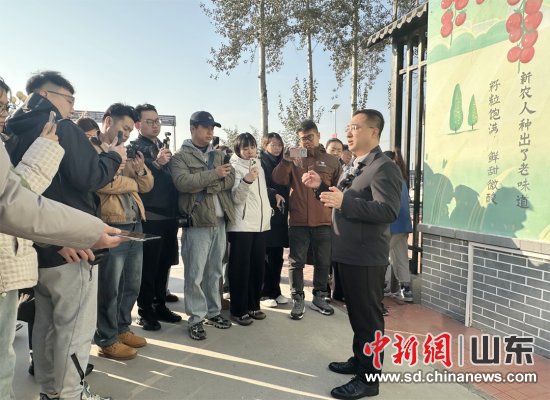 “片区化”的5种“化”学反应——乡村振兴的“潍坊答卷”