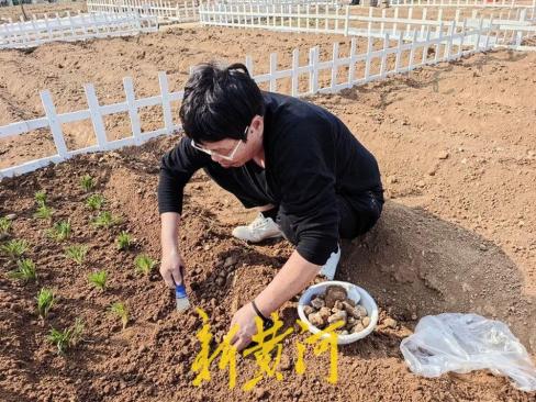 济南这片“共享菜园”为啥这么火？记者实地探访