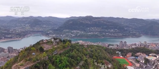 多元“花经济”为乡村振兴带来增收致富新动力