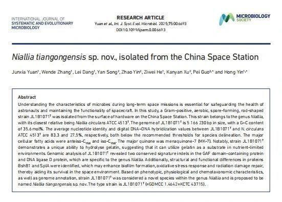 中國空間站發(fā)現(xiàn)微生物新物種 天宮尼爾菌獨(dú)特適應(yīng)性
