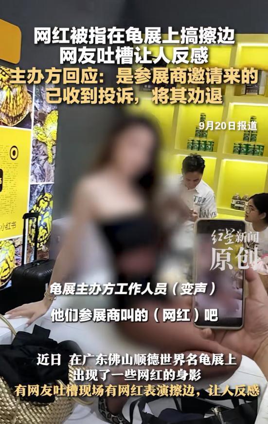 龟展主办方回应网红擦边