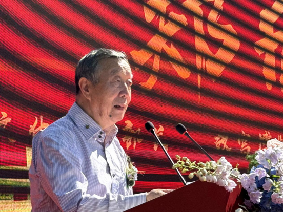 三大全国性文化机构联袂落户 大唐鹿野苑开启文旅融合新篇章