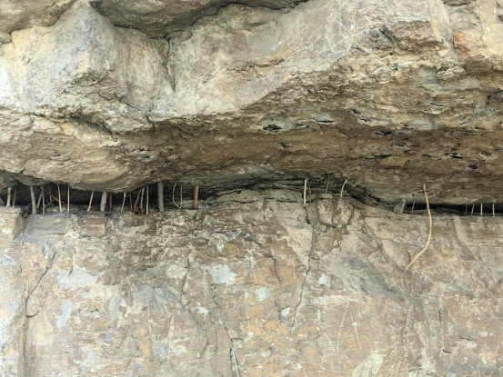 “走遍中国”采风黄河古渡口:赏自然胜景,寻黄河文脉