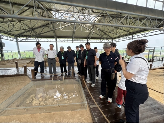 走遍中国·高家堡采风:寻根黄土地 聆听历史的回响