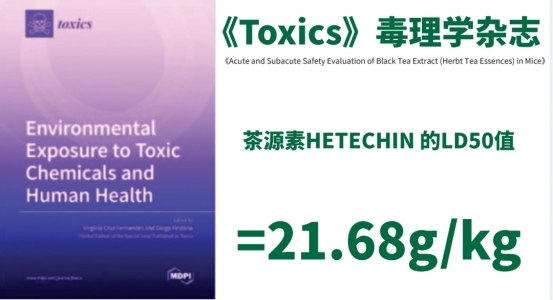 茶源素HETECHIN®:以药物级标准重新定义茶提取物,开启精准健康新纪元