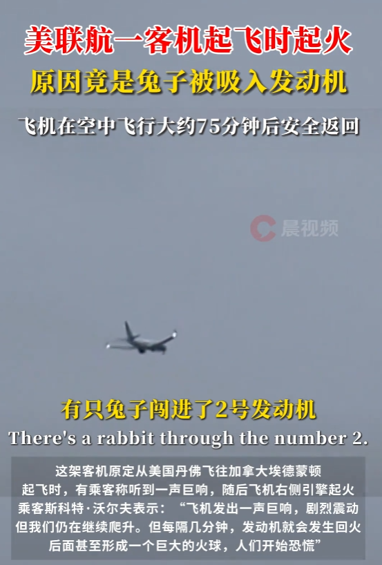 美国一客机突然起火 乘客紧急撤离无伤亡