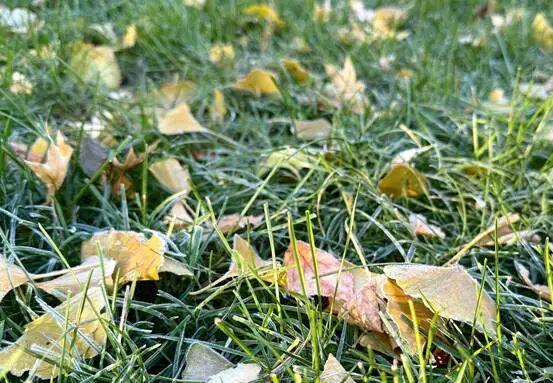 雨雪今晚抵达辽宁 冷空气带来降温与大风