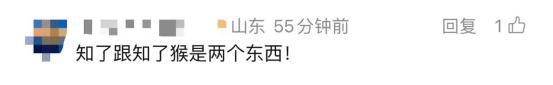 知了和知了猴是不是同一种昆虫