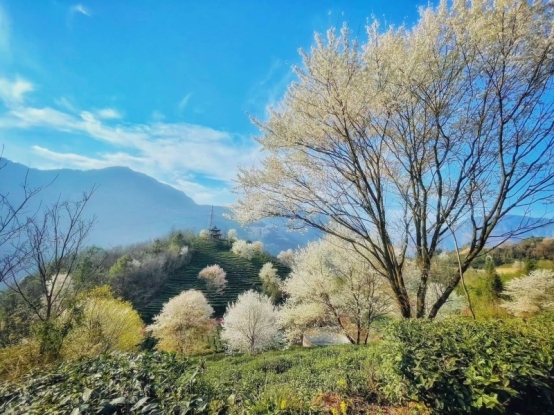 北川研学名县|当千年文脉碰撞现代科创，北川研学太会玩了