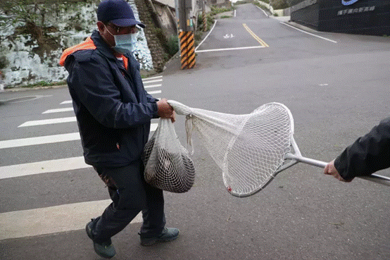 围捕现场从诱捕变成猎捕，狒狒被枪杀案在岛内沸沸扬扬