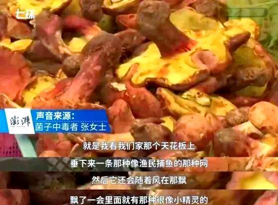云南人的第一頓菌子還得是見(jiàn)手青 獨(dú)特風(fēng)味引追捧