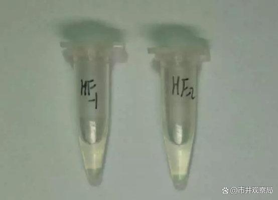 女孩被毒害致死所用物质网上有卖 悲剧或再上演