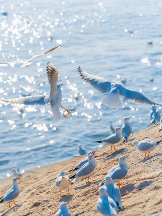 20251211090917397782.png Q3.png