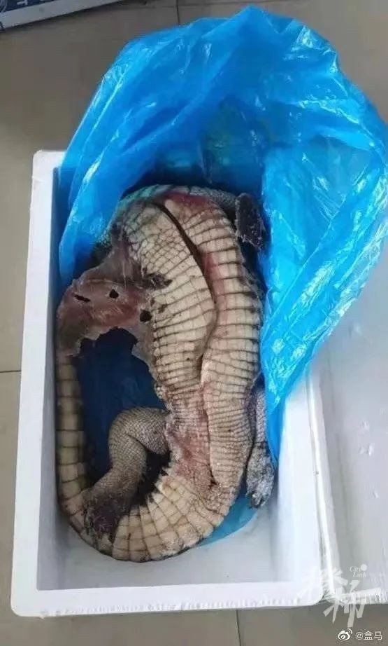 所售鳄鱼被砍后复活?盒马回应：冷冻品内脏已去除