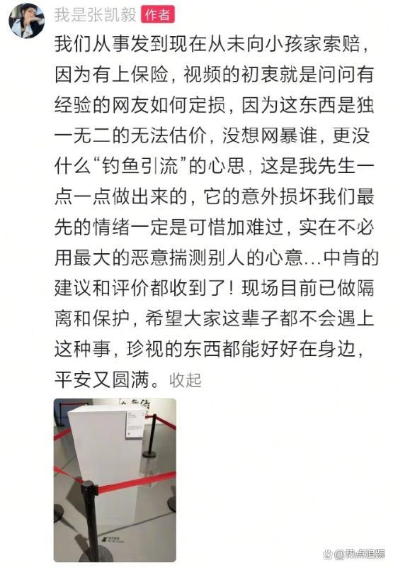 张凯毅 背刺 人设造假风波