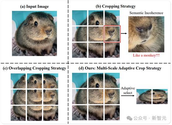 2B多模态新SOTA，华科、华南理工发布Mini-Monkey，专治“切分增大分辨率”后遗症