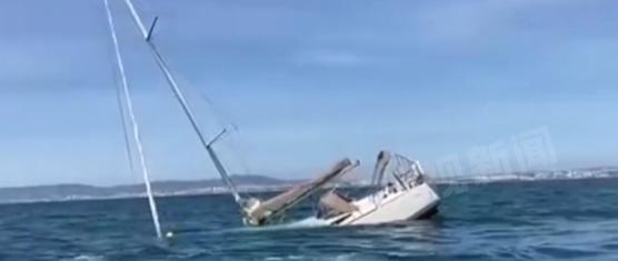 里斯本海域2艘船遭虎鲸症结 醋驱赶虎鲸奏效获救
