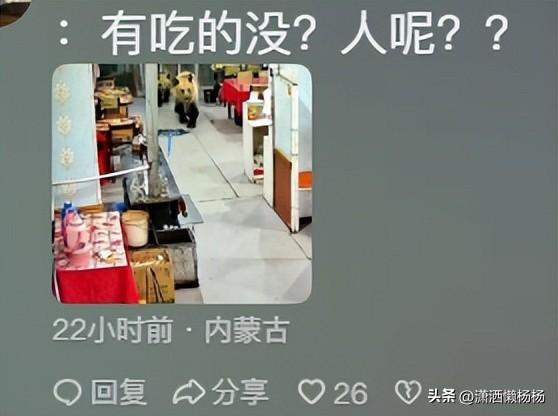 三头熊上门 服务员撒腿就跑 熊出没现实版惊魂时刻