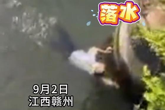 七旬老东说念主落水，救济队员跳桥救东说念主