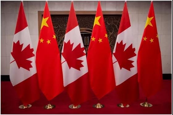 美国又要多一条忠狗了吗？