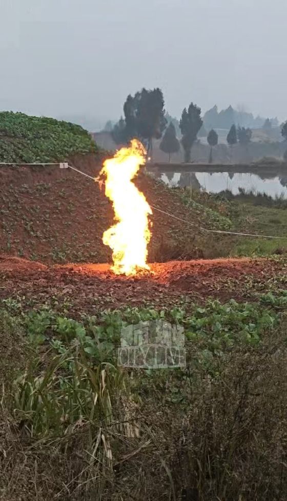 四川一田地突然冒火“烧一天一夜” 疑地下气体泄漏引发