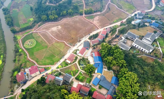 “刨猪汤”能否复制杀猪菜的经济奇迹 民俗IP焕发新活力